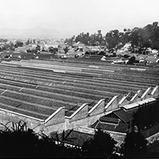 Kurashiki Ivy Square A factory environment made better through the power of nature 1888