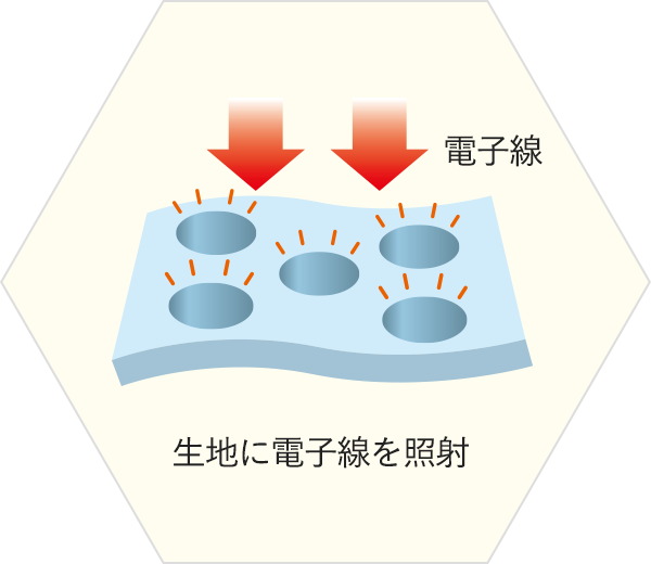 天然繊維に電子線を照射して分子を活性化!ウェアに新しい機能を!